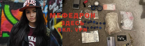 индика Гусь-Хрустальный