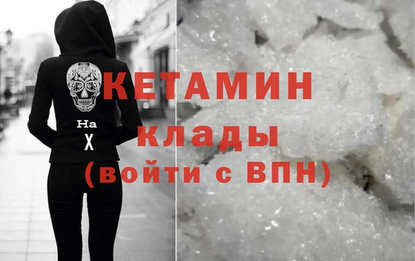 индика Гусь-Хрустальный