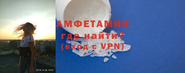 индика Гусь-Хрустальный