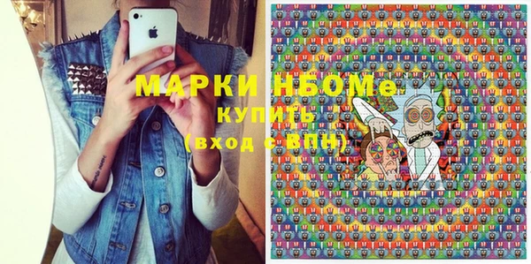индика Гусь-Хрустальный