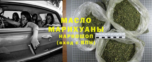 индика Гусь-Хрустальный