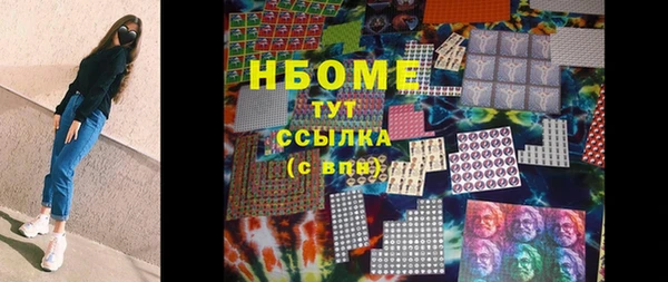 индика Гусь-Хрустальный