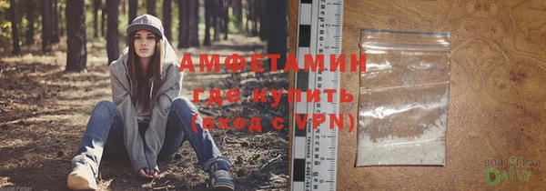 индика Гусь-Хрустальный