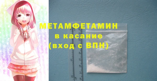 индика Гусь-Хрустальный