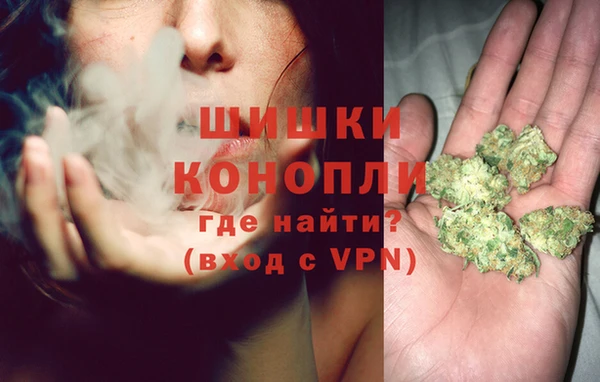 индика Гусь-Хрустальный
