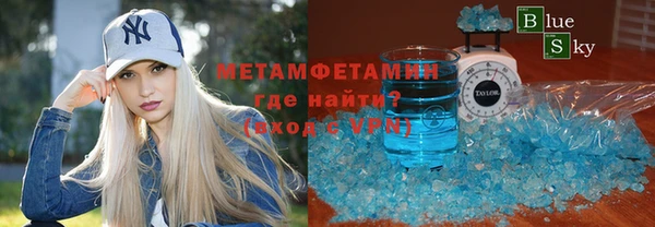 индика Гусь-Хрустальный