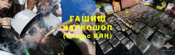 индика Гусь-Хрустальный